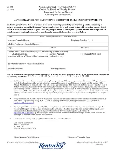 Fill Out a Valid Kentucky Cs 202 Form